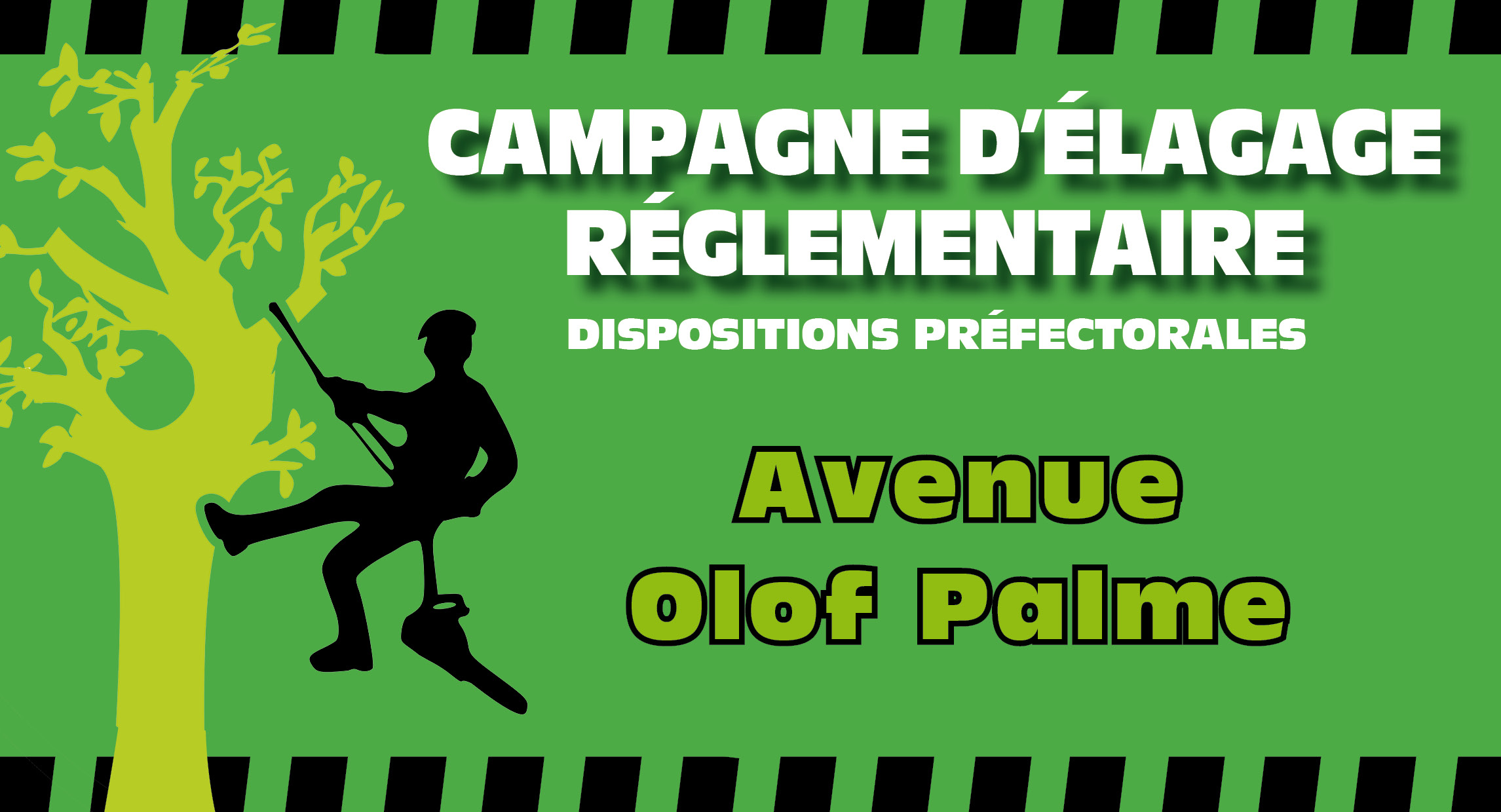 Campagne élagage Olof Palme 2024