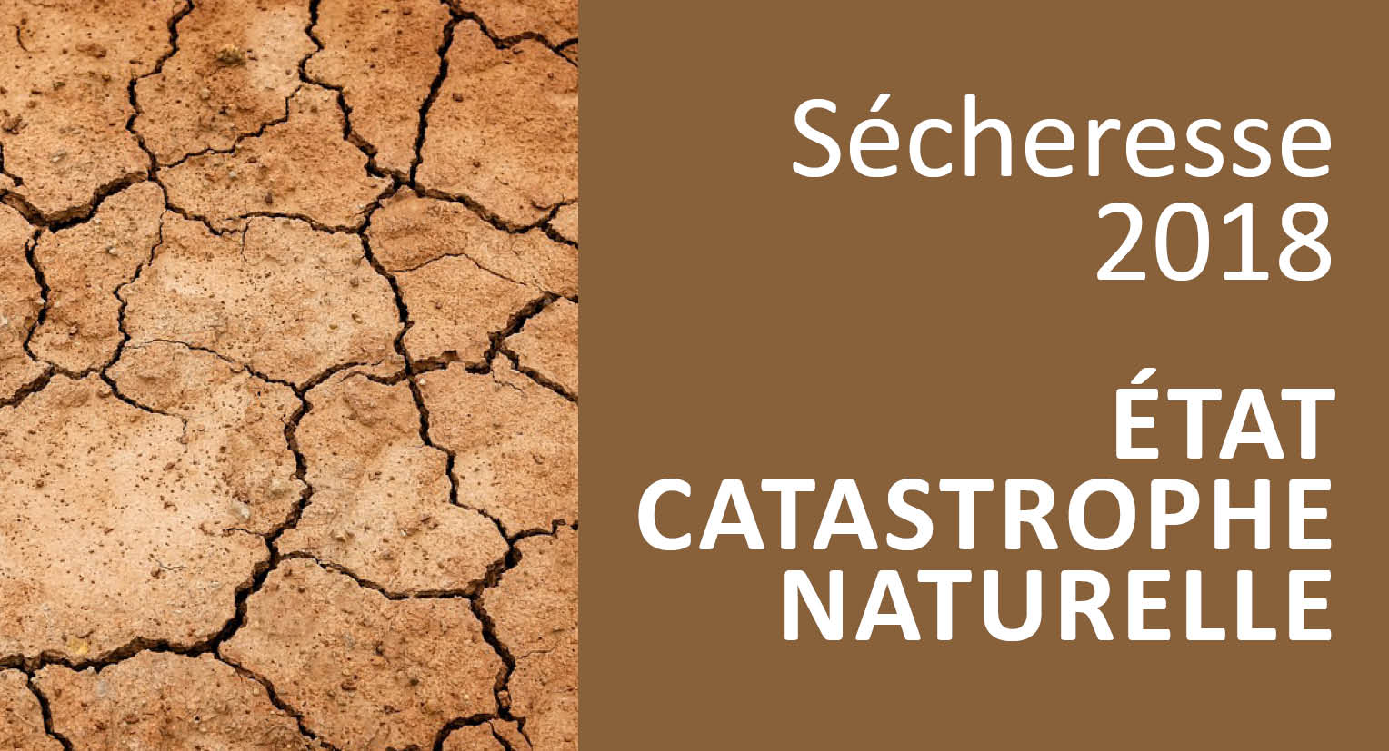Etat castrophe natuelle sécheresse 2018